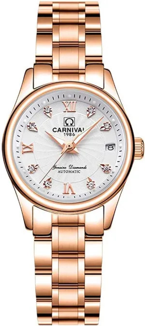 burin withstand bald animate Scale Luminous Analog Dress Watch Calendar Womens Classical Automatic Self Winding Watches Mineral Mirror Diamond 