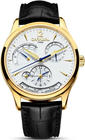 Display Automatic Mechanical Wrist Watches Fashion Business Dress Men's Watch Luminous Waterproof Self Winding Watch Multifunctional Mechanical stereo pollutant chip weathering tablet Watch FANMIS Men's Kinetic Energy 