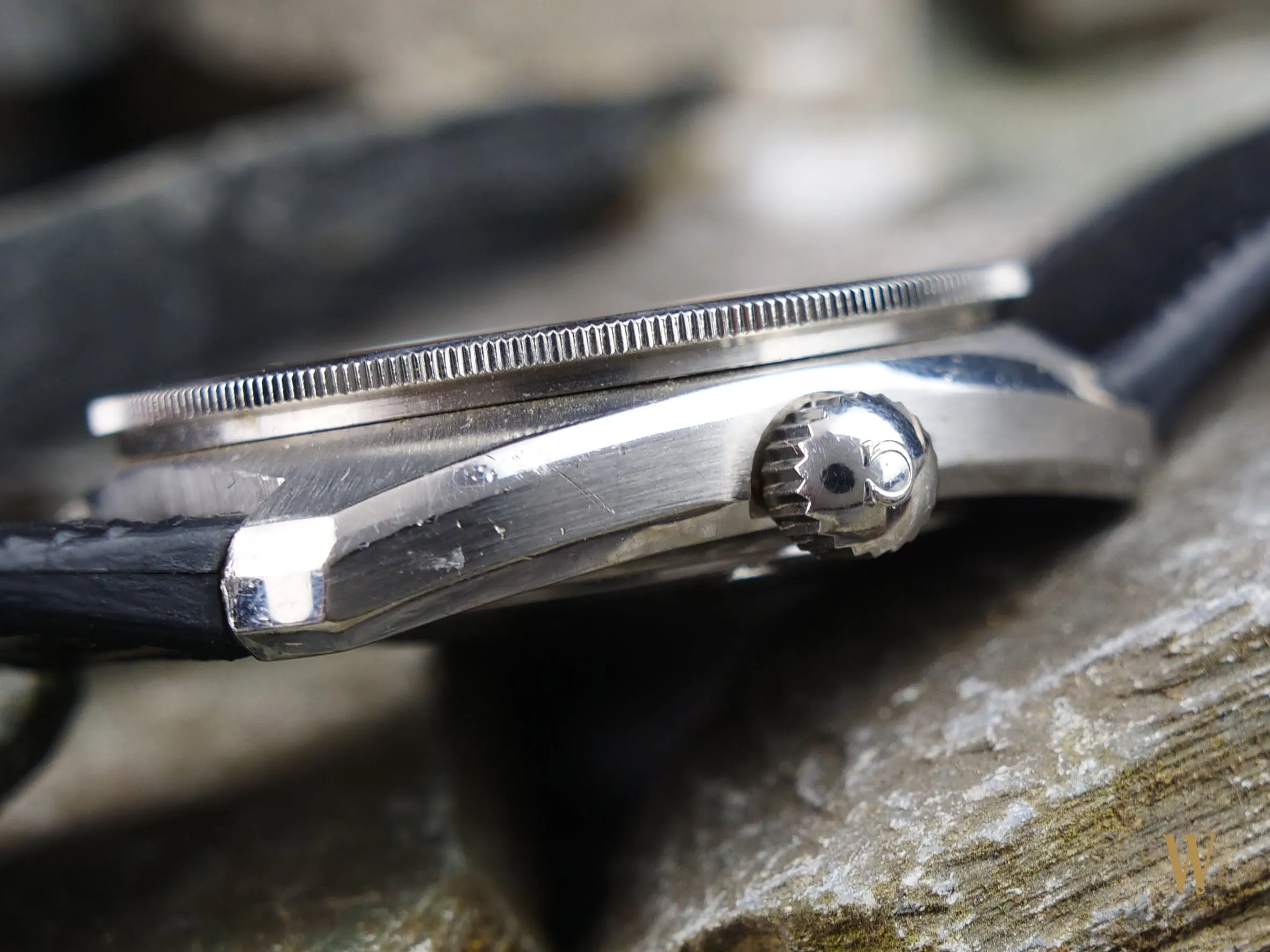 Omega Seamaster 200 Poppy