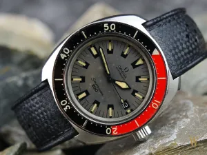 Omega Seamaster 200 Poppy