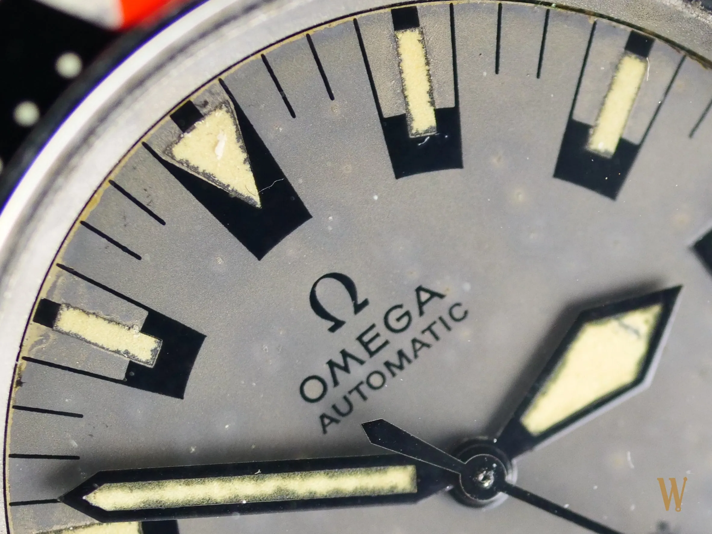 Omega Seamaster 200 Poppy