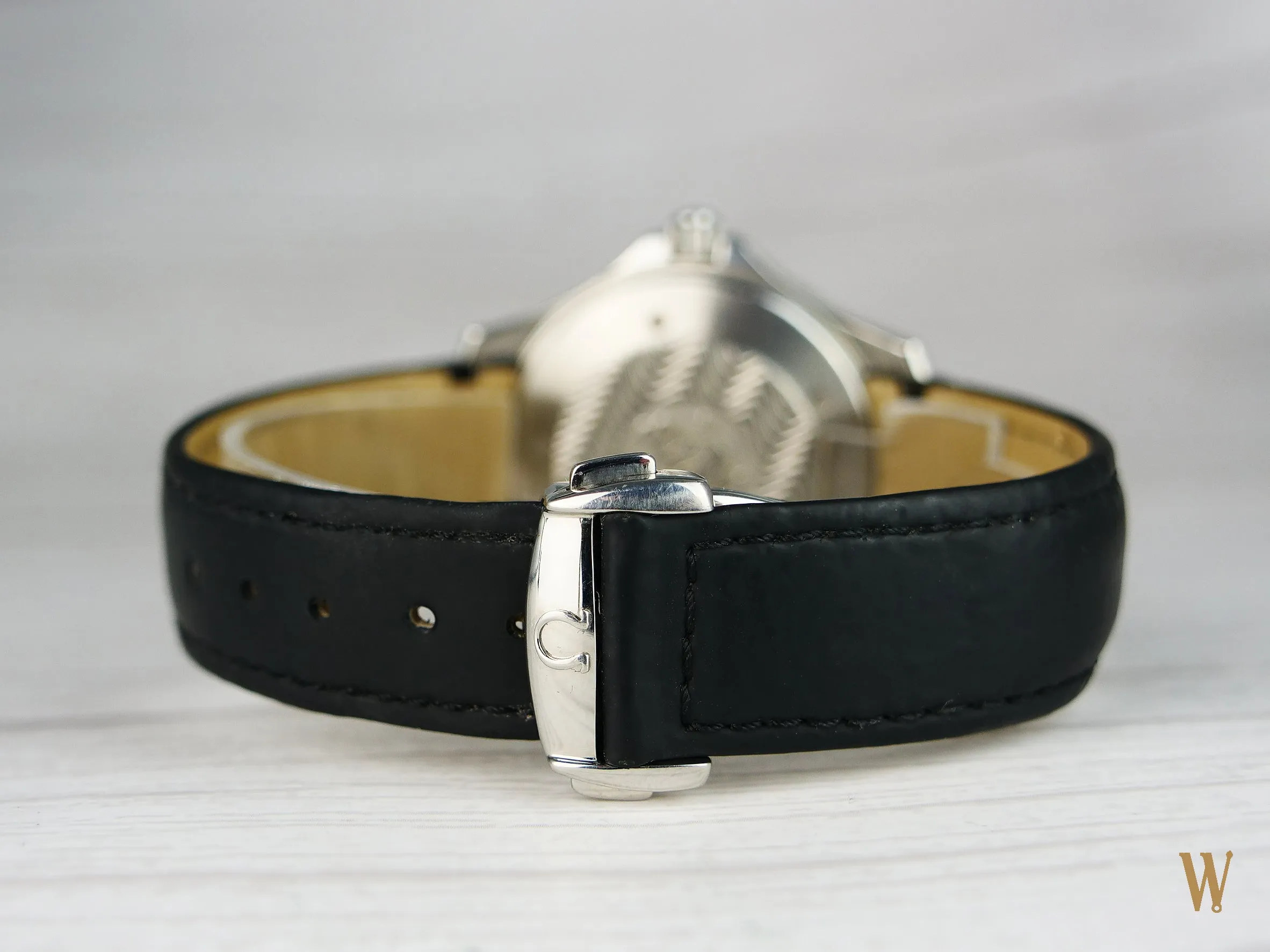 Omega Seamaster 300 Professional