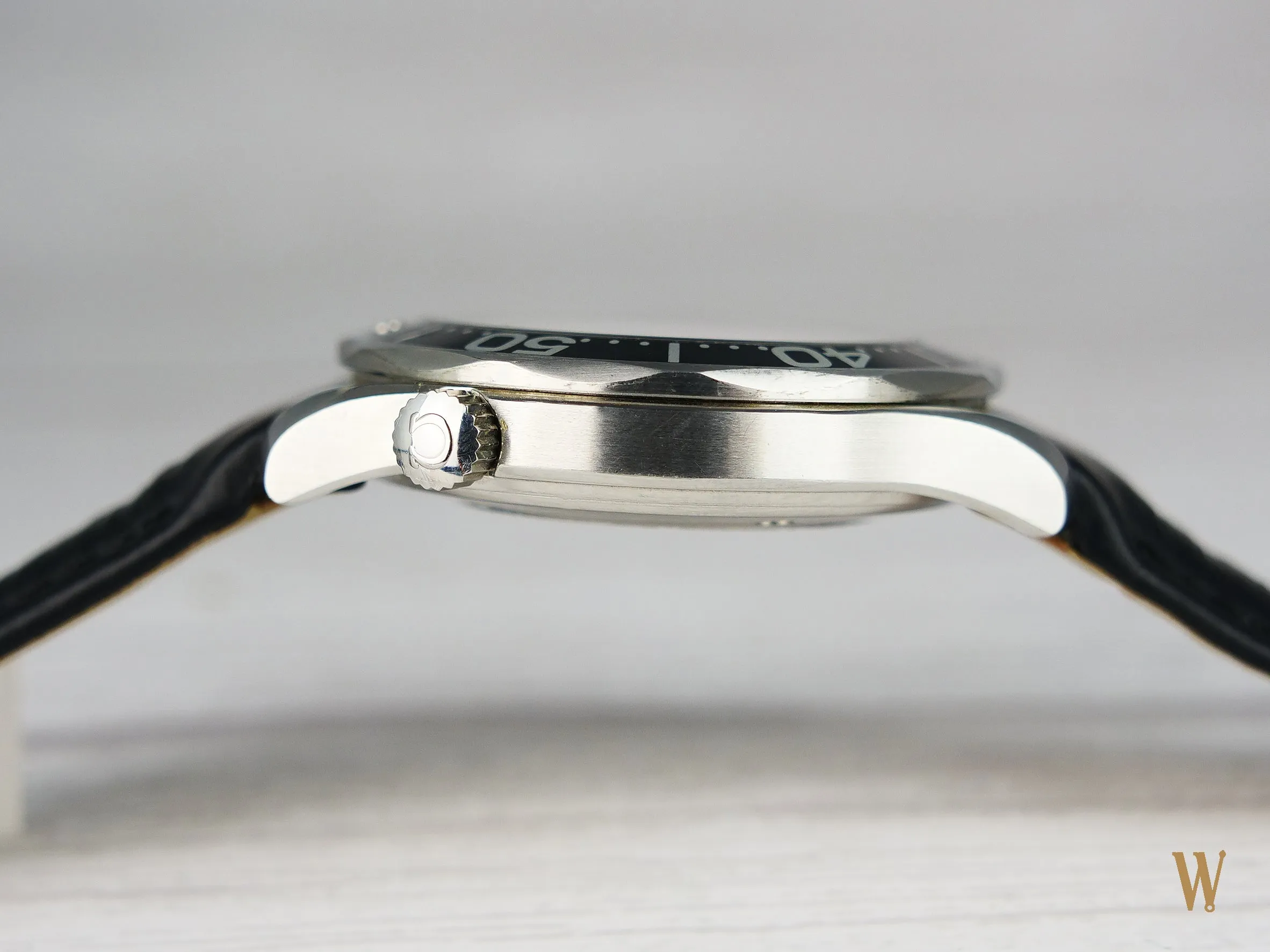 Omega Seamaster 300 Professional