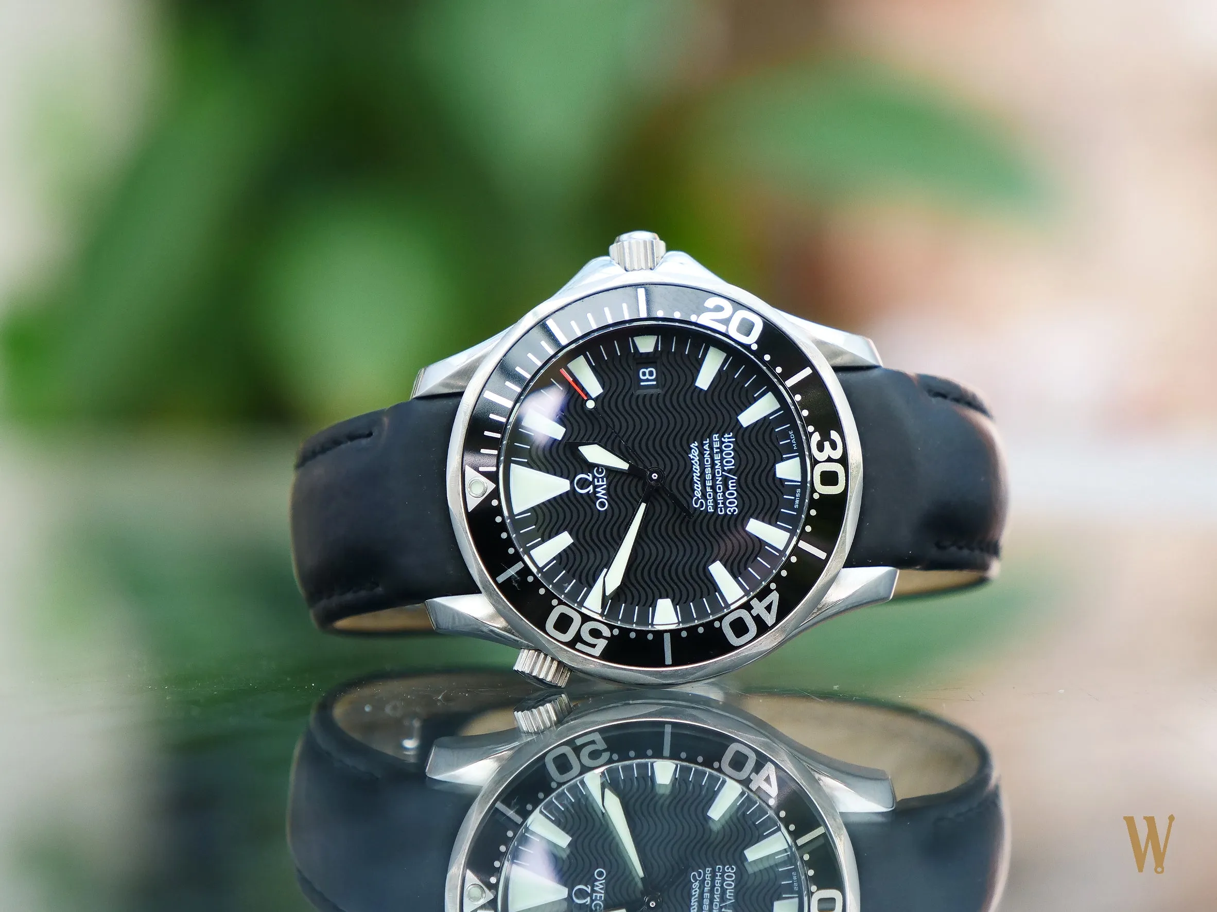Omega Seamaster 300 Professional