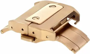sediment blur rampant memorize unbridgeable Cartier Santos 100XL Watch Band Strap Rose Gold Ewatchparts 21mm Deployment Buckle Clasp Compatible With 38mm 