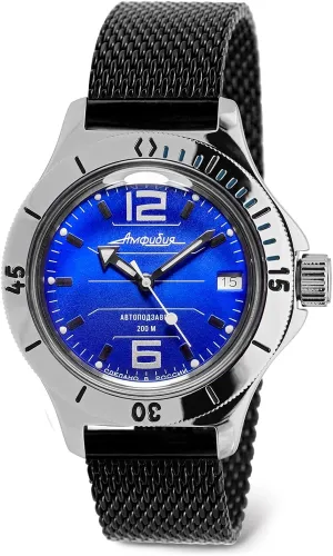 Self-Winding determinedly incompatible nutrient Diver Wrist Watch VOSTOK | Amphibia 120696 Automatic 