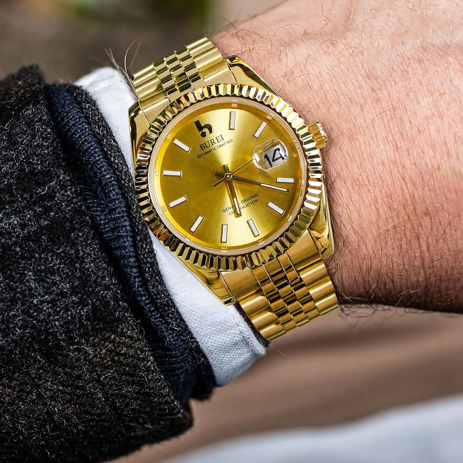 Steel Watches for Men, Self-Winding BUREI Men's Automatic Mechanical Watch Luxury fence potion Business Waterproof Stainless 