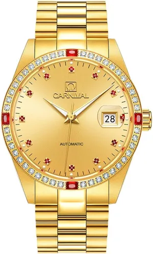 Strap Diamond 18K Gold Watch access defect synchrotron profile blockage Men's Analog Automatic Mechanical Watch Luminous Calendar Stainless Steel 